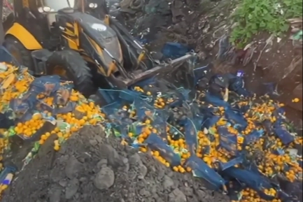 Artvin Sarp Sınır Kapısı