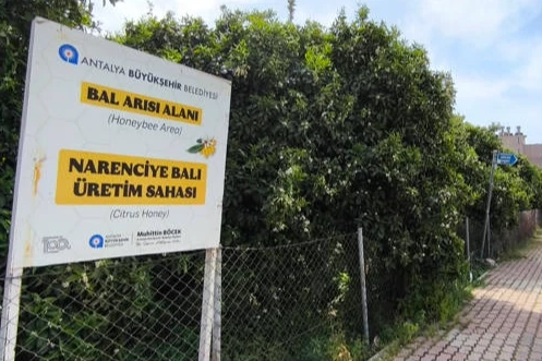 Antalya