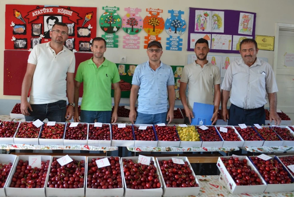 GELENEKSEL 2. BÖREZ KİRAZ FESTİVALİ COŞKUYLA GERÇEKLEŞTİRİLDİ